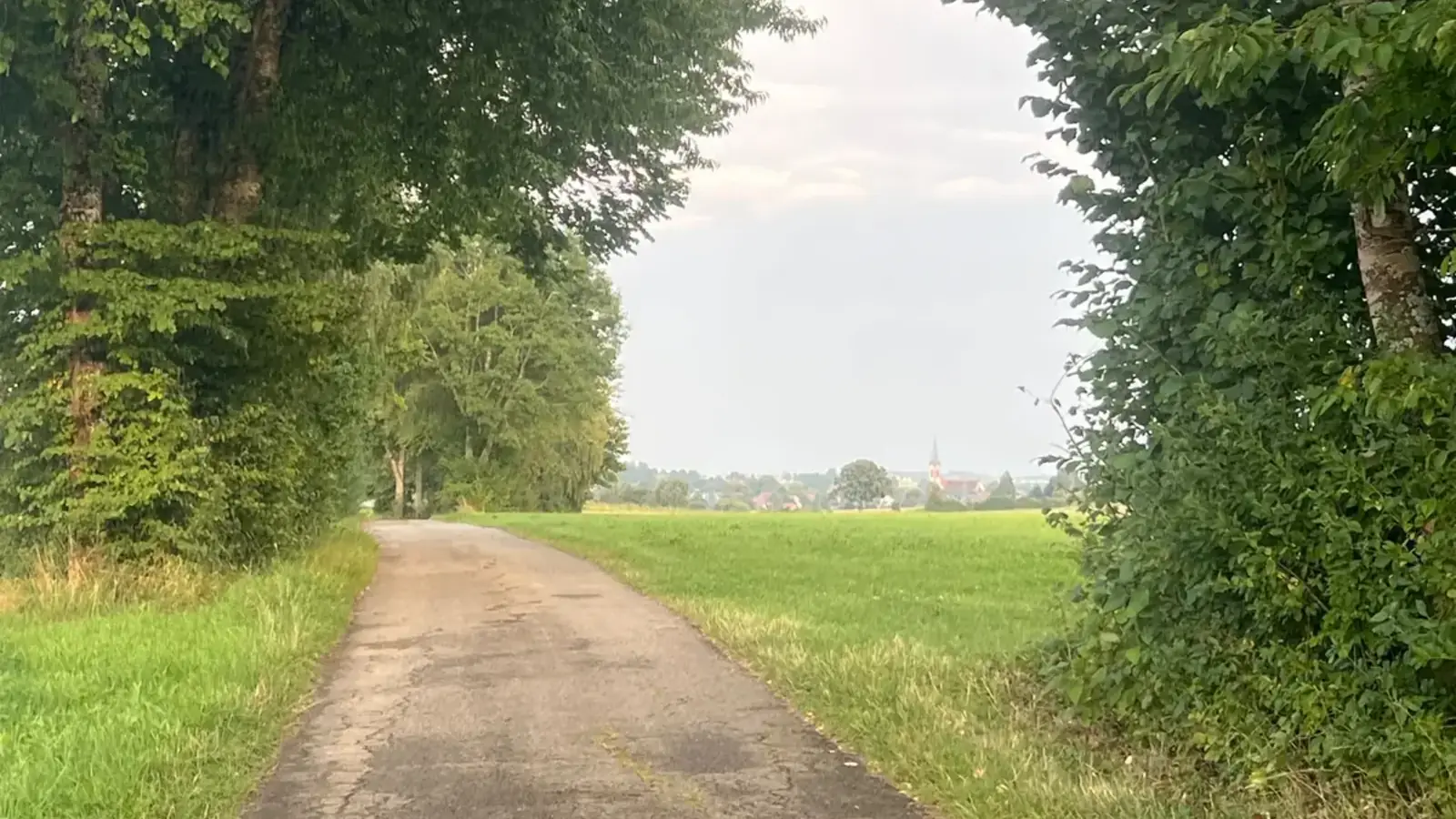 Baumgesäumter Feldweg zwischen den Feldern bei Fluorn-Winzeln