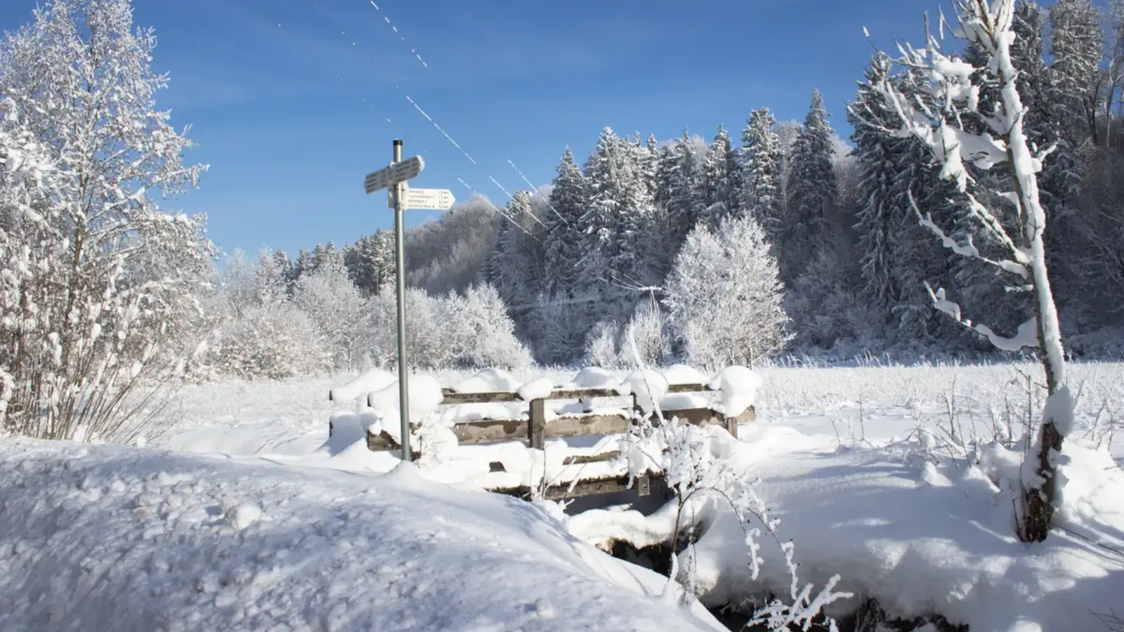 Verschneite Landschaft rund um Fluorn-Winzeln im Winter