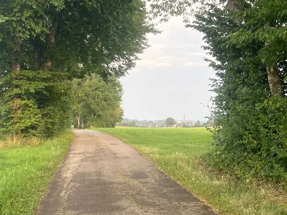 Baumgesäumter Feldweg bei Fluorn-Winzeln