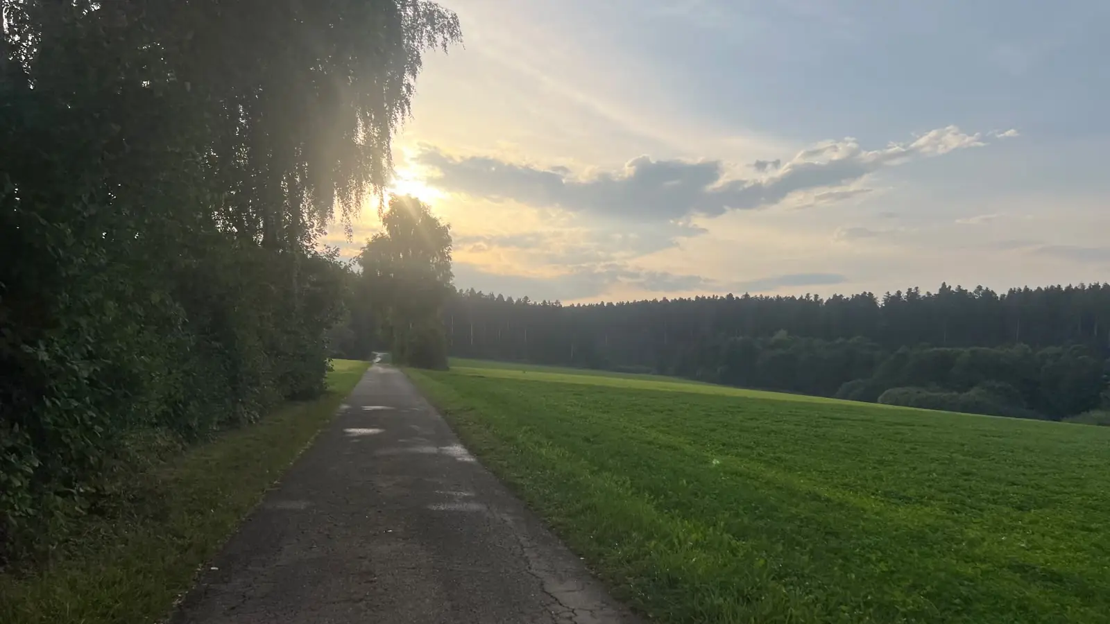 Feldweg im Morgenlicht bei Fluorn-Winzeln