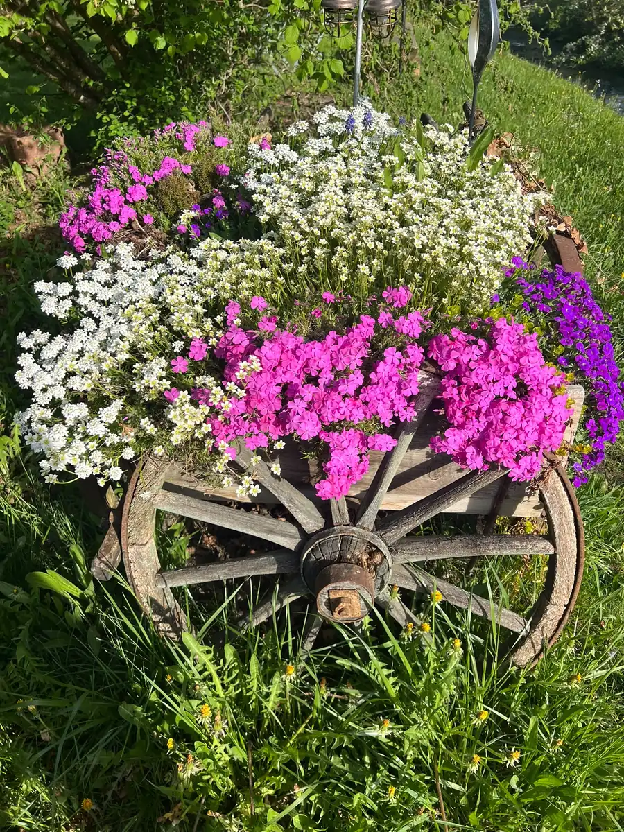 Altes Wagenrad mit Blumen als Gartendeko