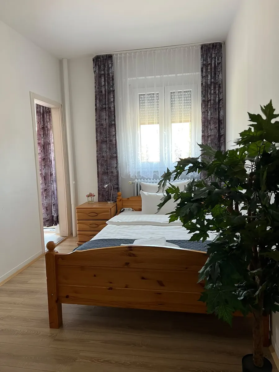 Helles Zimmer mit Holzbett und großer Zimmerpflanze